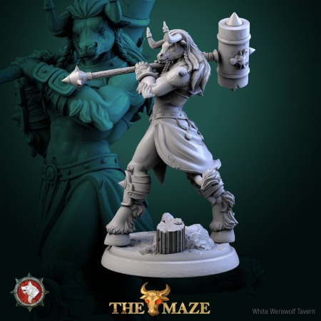 HCT 706. Beastman Females set [3]