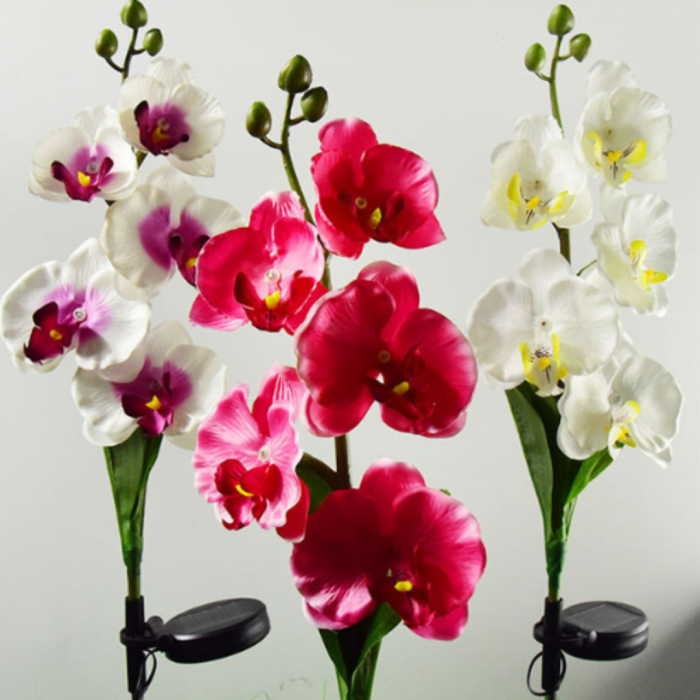 Set 2 Lampi Solare Orhidee Rosie – LED Gradina [6]