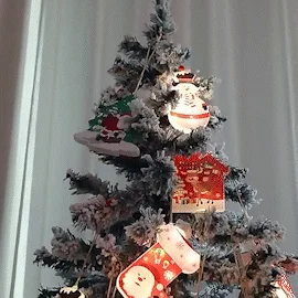 Pachet Misterul Mosului  10 Instalații Luminoase alese Special de Moș Crăciun pentru Tine + Cadou Secret [11]