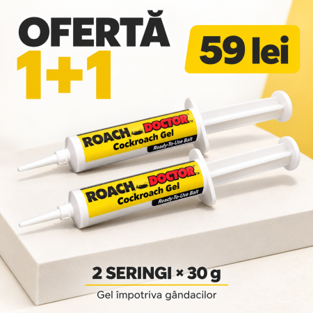 Pachete Promotionale - 