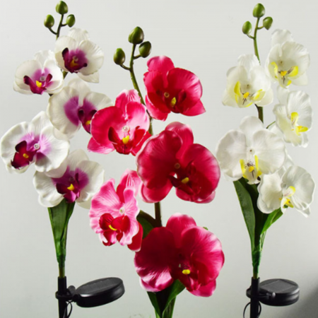 Set 2 Lampi Solare Orhidee Rosie – LED Gradina [1]