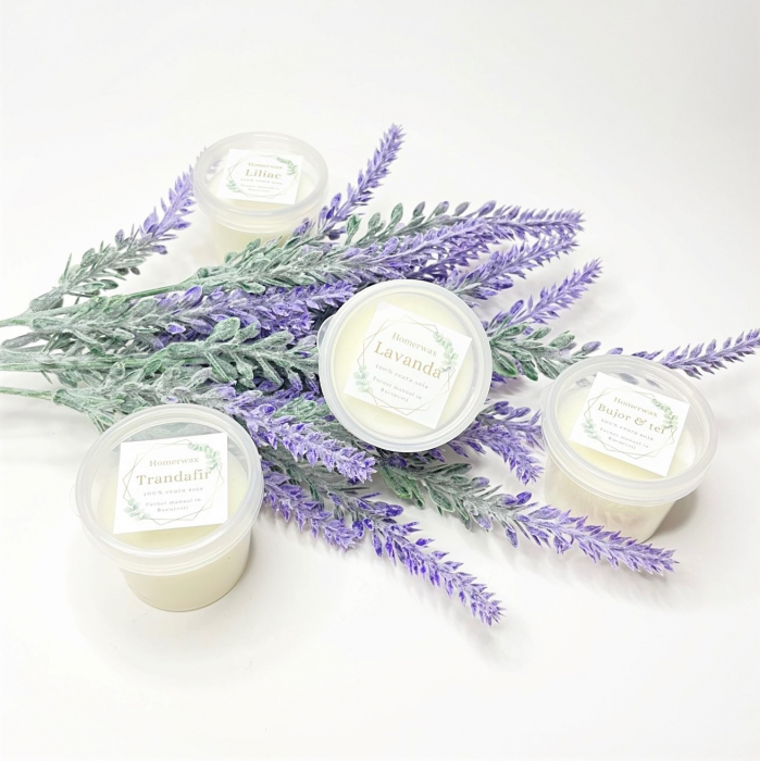Set 4 arome diferite de wax melts, Bujor si tei / Lavanda / Liliac / Trandafir, 100 g [7]