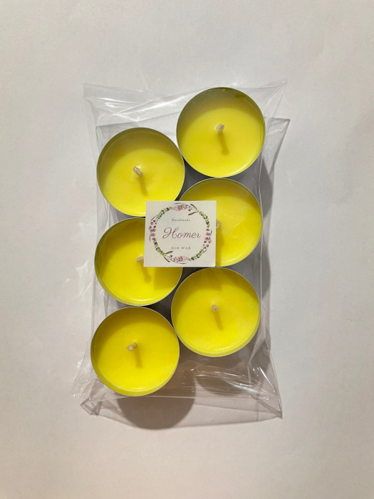 Set lumanari anti-tantari, tip pastila, din ceara naturala de soia, handmade, 6 buc, 120 g, argintiu [2]