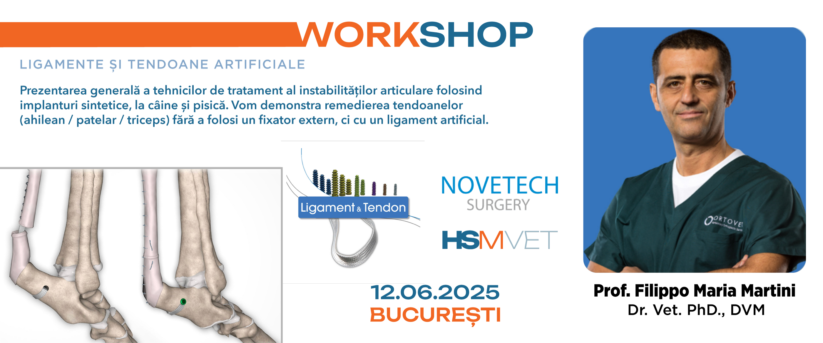 Workshop Novetech Bucuresti 12.06