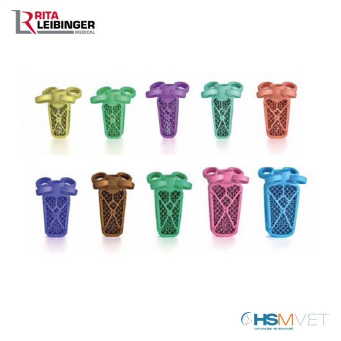 C-LOX Spinal Cage Titan 2.7 mm with Spikes Locking [5]