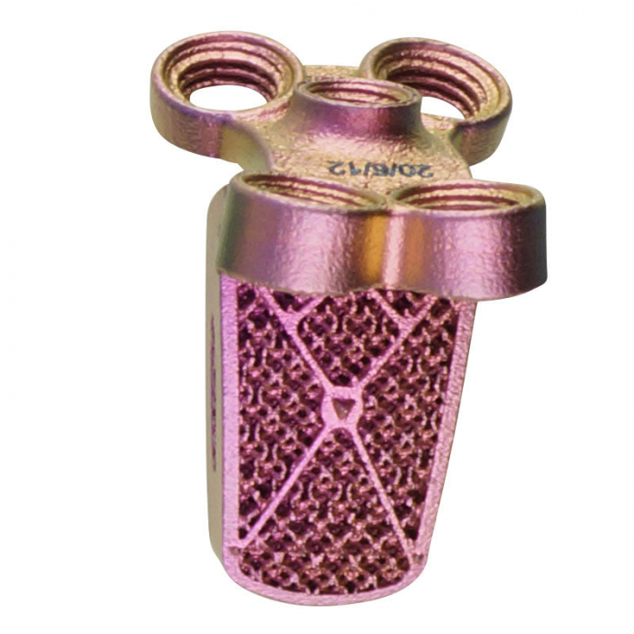 C-LOX Spinal Cage Titan 2.7 mm with Spikes Locking [4]