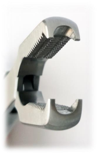 Cleste KERN [2]