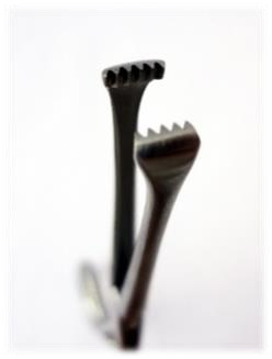 Forceps Allis [2]