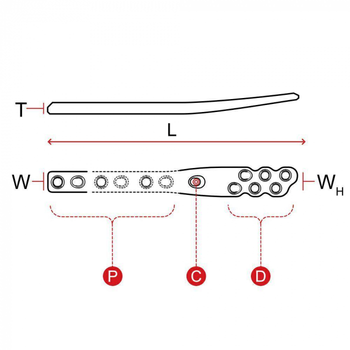 Placa artrodeza pantarsala double locking 2.0-2.7 [2]