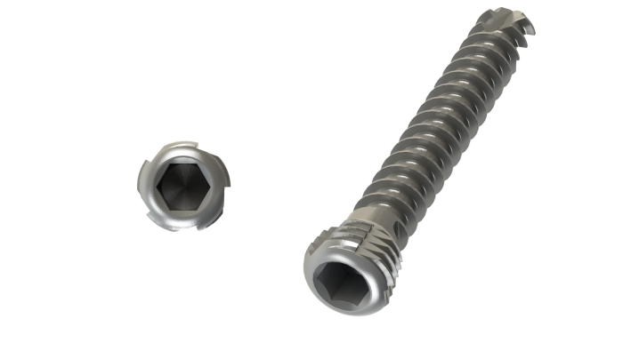Șurub Blocat Autotarodant Ø 5.0 [2]