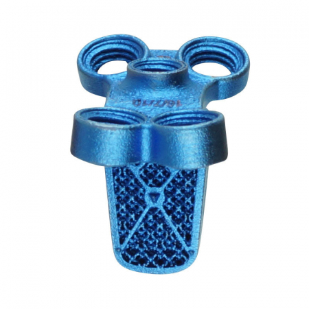C-LOX Spinal Cage Titan 2.7 mm with Spikes Locking [1]