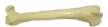 Oase Plastic - Femur Mic Plastic