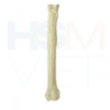 Oase Plastic - Radius Caine Os Plastic