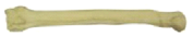 Oase Plastic - Radius Mare Plastic