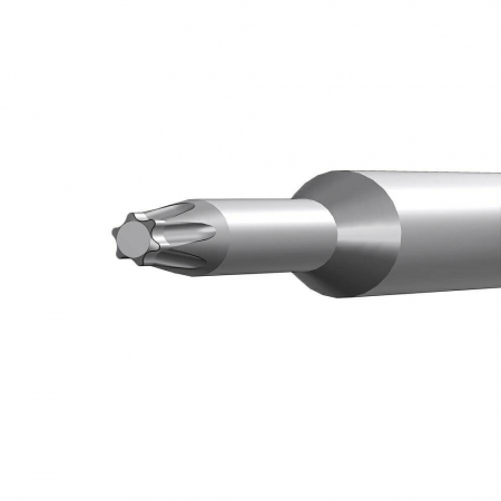 Shaft Stea TORX T5 AO Quick Coupling iwet [1]