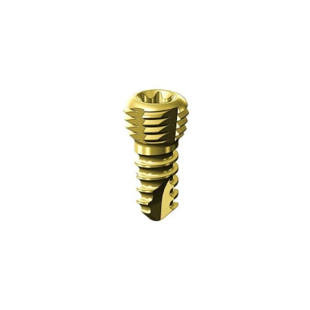 Suruburi Blocate TORX - Surub blocat autotarodant TORX Ø 2.0