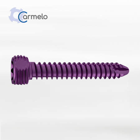 Carmelo - Șuruburi MultiAx ø 1.7mm Titan