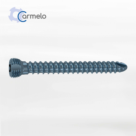 Carmelo - Șuruburi MultiAx ø 2.5mm Titan