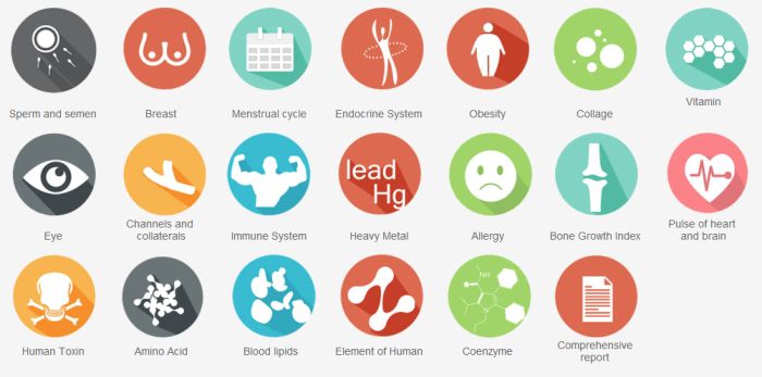 Aparat analizor scanare biorezonanta magnetica QUANTUM EWS BIOPHILIA, model 2025, diagnosticare [8]