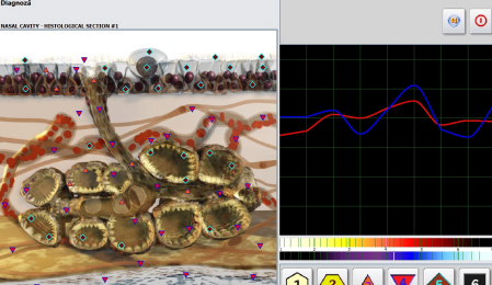 Softuri si stick USB de encriptare pentru soft Metatron Hunter 4025 NLS si pentru soft Bioplasm 2 in 1 NLS [6]