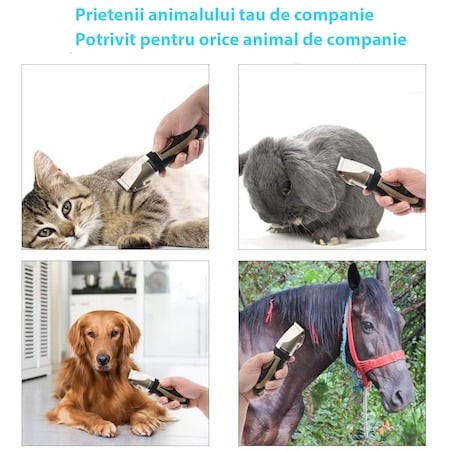 Set de ingrijire animale de companie, cu masina profesionala de tuns, foarfeca, pieptan, clips unghii si lama de pilit [4]
