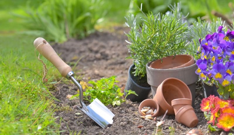 7 instrumente pentru începători de grădinărit