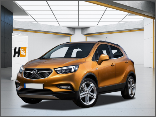 Mokka 2016->>