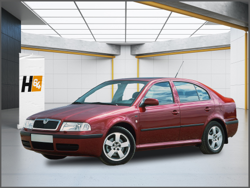 Octavia Tour 1996 - >>