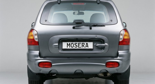 Camere Hyundai Sante Fe (2001-2006)