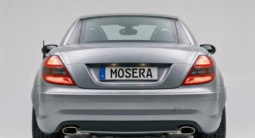 Camere Mercedes-Benz SLK (2004-prezent)