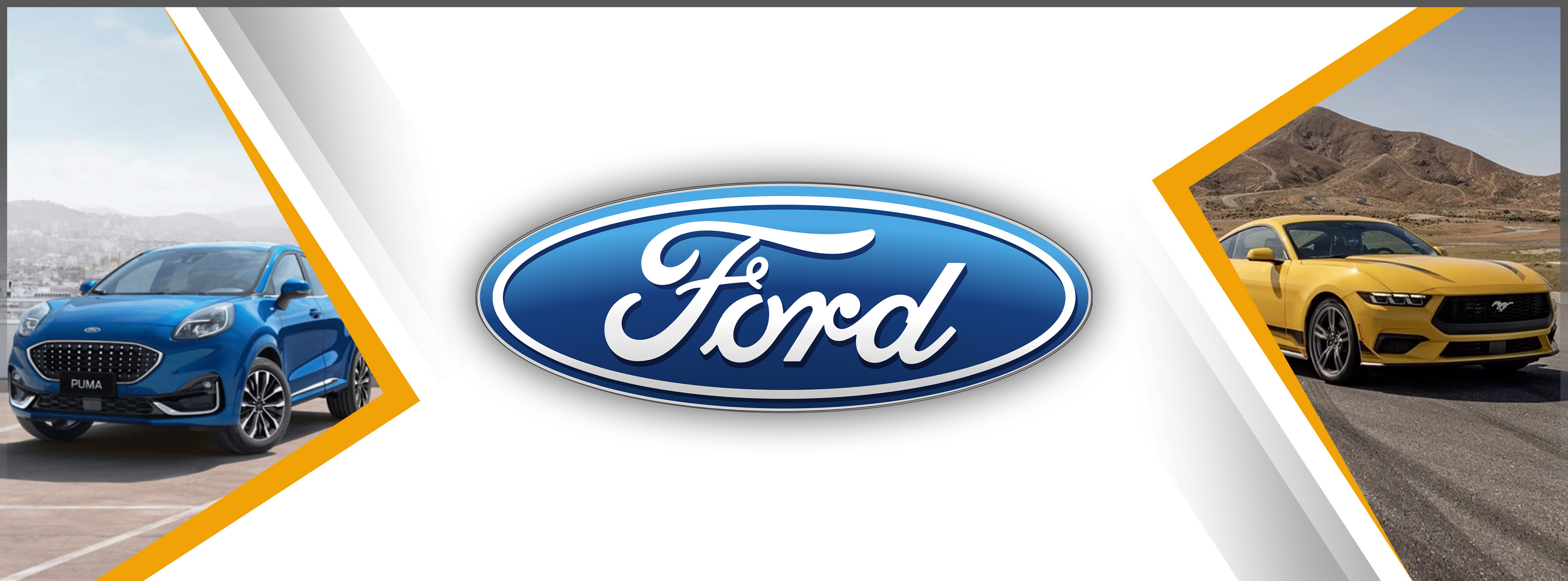 Camere Ford