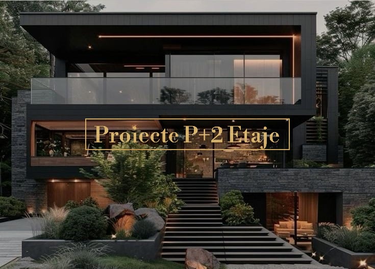 Proiecte P + 2