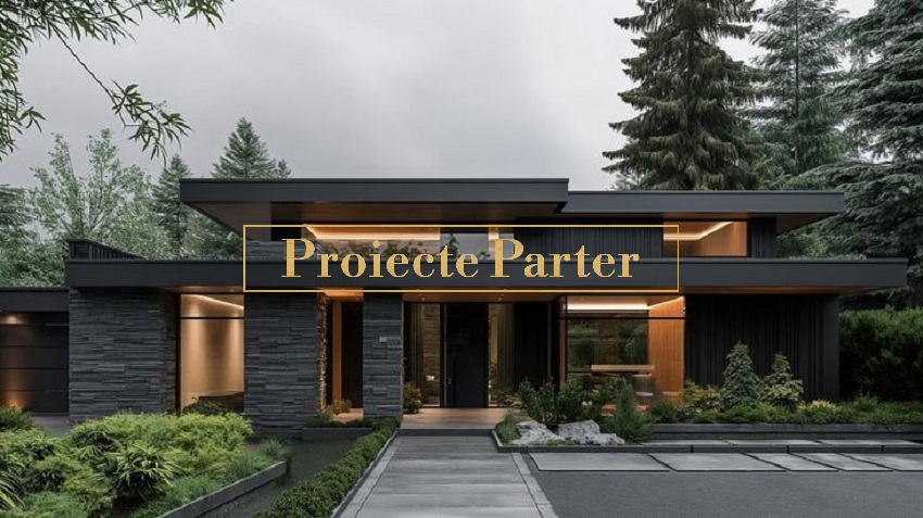 Proiecte Parter