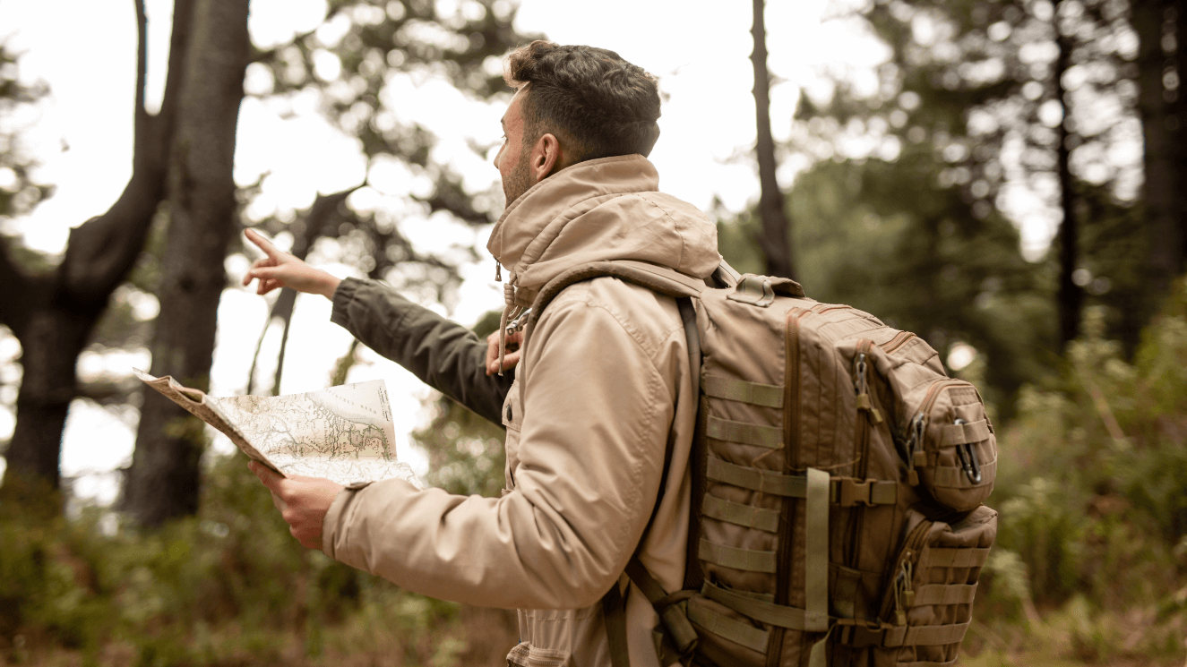 Cum să Te Orientezi în Pădure: Ghidul Esențial pentru Exploratori