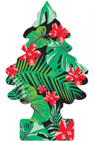 Wunder-baum Jungle Fever [1]