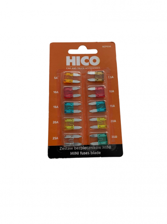 Sigurante auto - Set sigurante plate mini, 10 buc