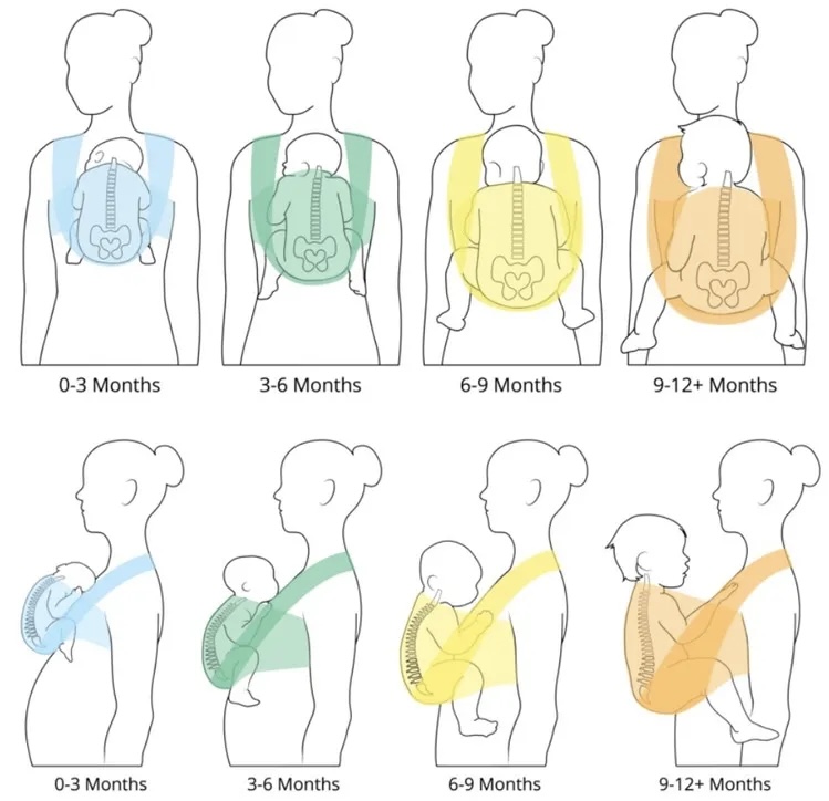 Informații de siguranță ale sistemelor de purtare ergonomice
