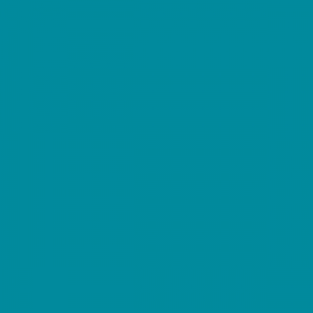 Protectie all season Turquoise S4 [2]