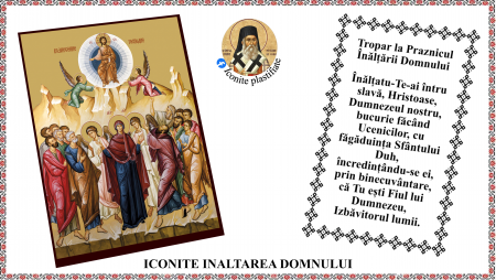 Iconite plastifiate - Icoana Inaltarea Domnului