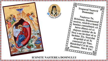 Icoane - Icoana Nasterea Domnului