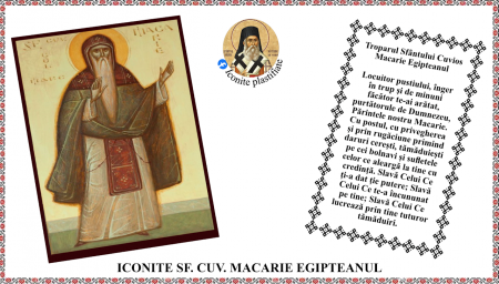 Iconite plastifiate - Icoana Sfantul Cuvios Macarie Egipteanul