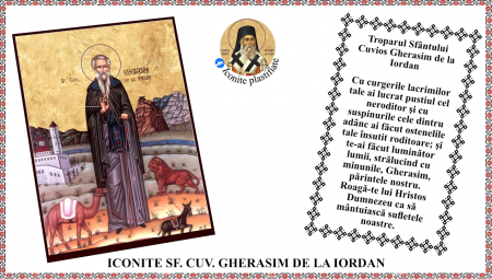 Iconite plastifiate - Icoana Sfantul Cuvios Gherasim de la Iordan