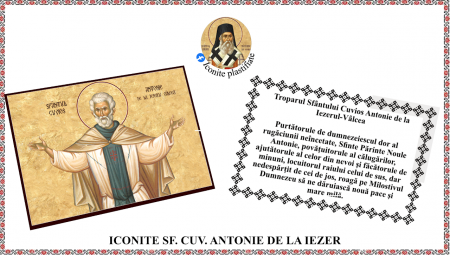 11. Noiembrie - Icoana Sfantul Cuvios Antonie de la Iezerul Valcea