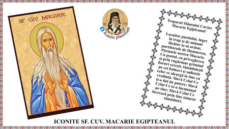 Iconite plastifiate - Icoana Sfantul Cuvios Macarie Egipteanul