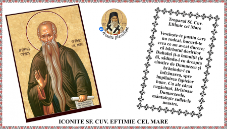 Iconite plastifiate - Icoana Sfantul Cuvios Eftimie cel Mare