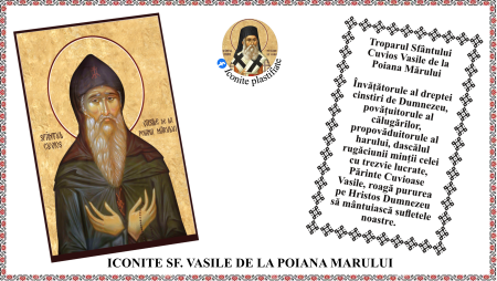 Iconite plastifiate - Icoana Sfantul Cuvios Vasile de la Poiana Marului