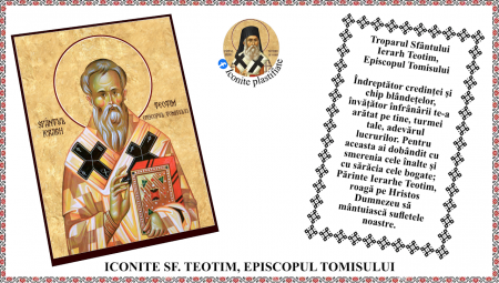 Iconite plastifiate - Icoana Sfantul Ierarh Teotim, Episcopul Tomisului