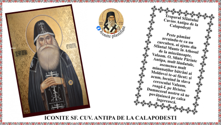 Iconite plastifiate - Icoana Sfantul Cuvios Antipa de la Calapodesti