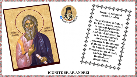 Iconite plastifiate - Icoana Sfantul Apostol Andrei