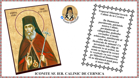 Iconite plastifiate - Icoana Sfantul Ierarh Calinic de la Cernica